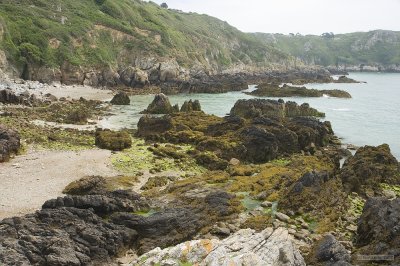 Guernsey June 2007