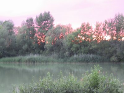 CRW_0089.jpg