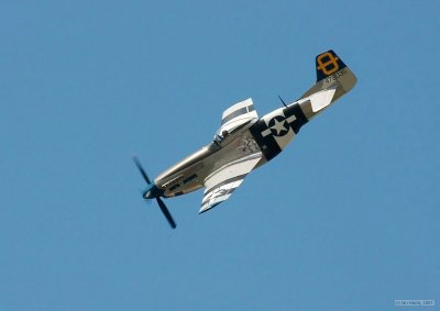 IMG_8599.jpg