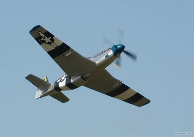 IMG_8600.jpg
