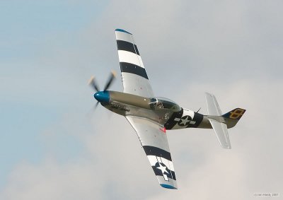 IMG_8606_1.jpg