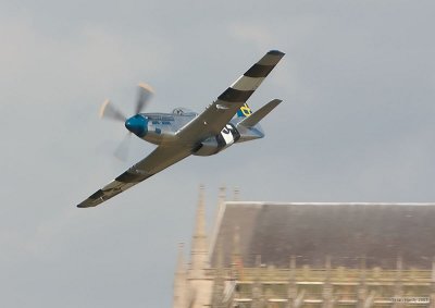 IMG_8613_1.jpg