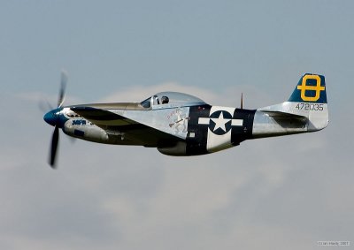 IMG_8619.jpg