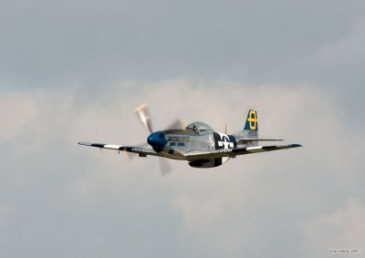 IMG_8623.jpg