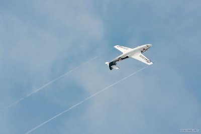 IMG_8727.jpg