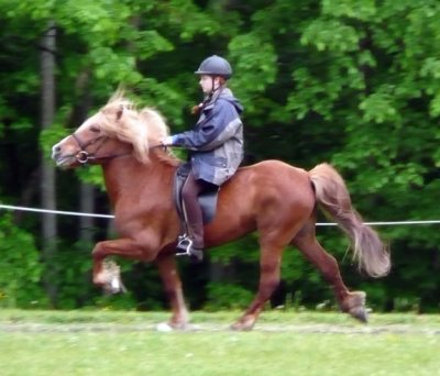 P1000289-lr.jpg