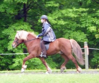 P1000314-lr.jpg