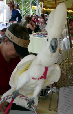 Birdy.JPG