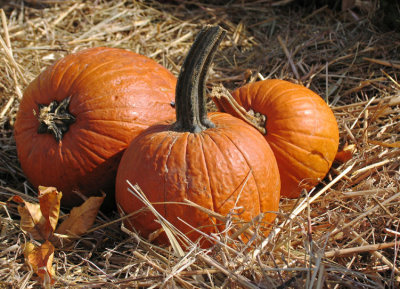 Pumpkins