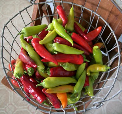 Hot peppers for the Winter