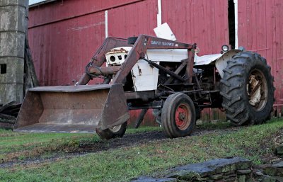 IMG_3461