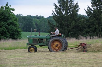Tedding the hay