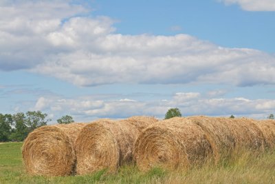 Round bales