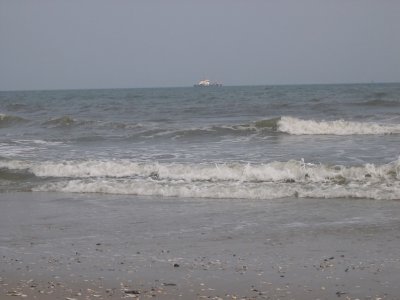 The waves