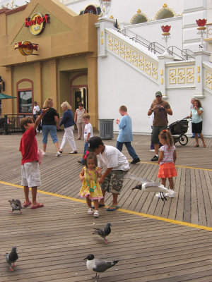 Feeding the pigeons