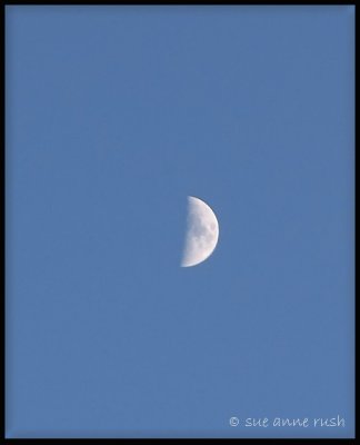 CRW_1534_The moon in the early evening