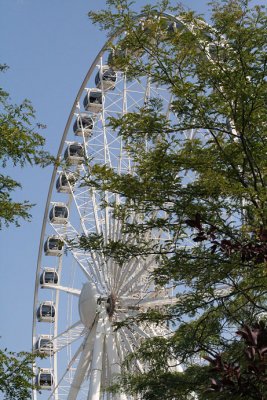 IMG_8324_Skywheel