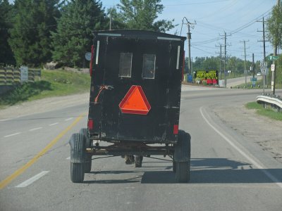 IMG_1822_Buggy