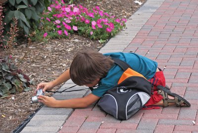 IMG_1861_Busy