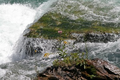 IMG_8189_Livin' in the rapids