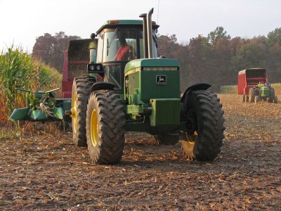 IMG_2575_Chopping corn