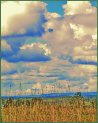 Grass and Clouds