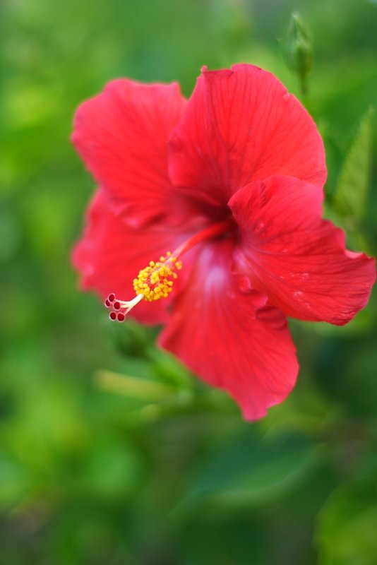 CRW_6834.JPG