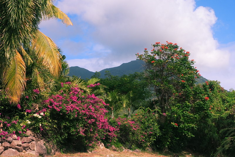 CRW_6989.JPG