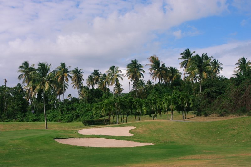 CRW_7006.JPG