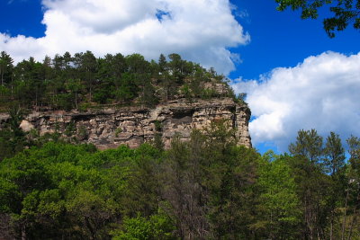 CRW_9420.JPG