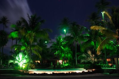CRW_6490.JPG