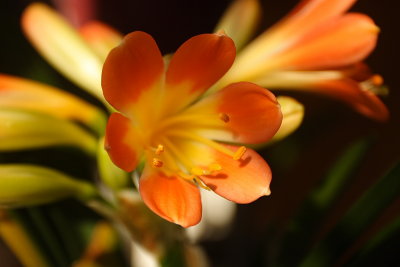 CRW_7132.JPG