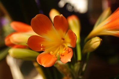 CRW_7128.JPG