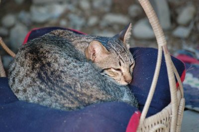 DSC_1114.JPG