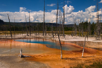 Yellowstone, Tetons & Dakotas 2006