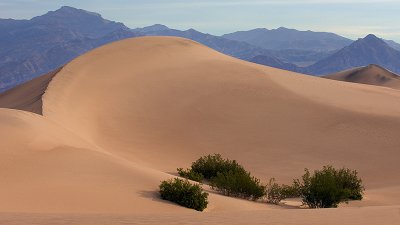 Dunes and Mountains