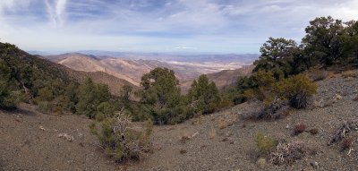 Wildrose Trail Panorama