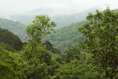 Roaring River in the Rain