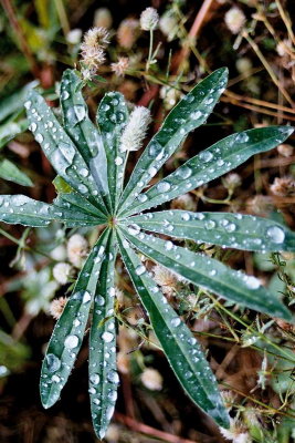 Masurian Lake District 2003