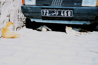 23.jpg