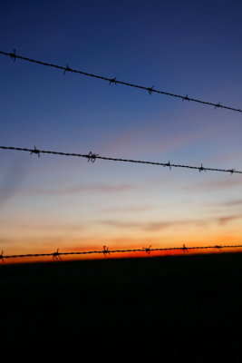 Barbed Wire Vertical Post.jpg