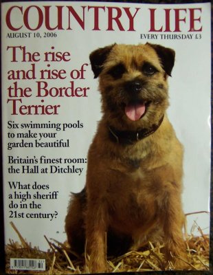 Rise of the Border Terrier