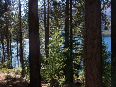 Fallen Leaf Lake Arrival 1