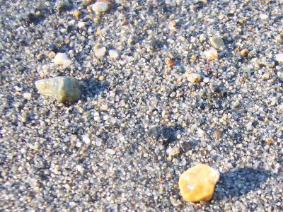 Fallen Leaf Lake Sand