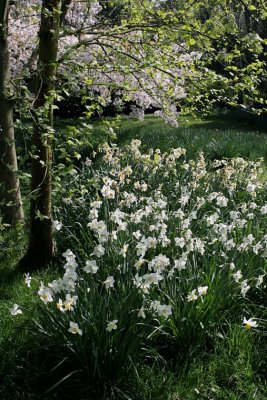 Hidcote 07 0004.jpg