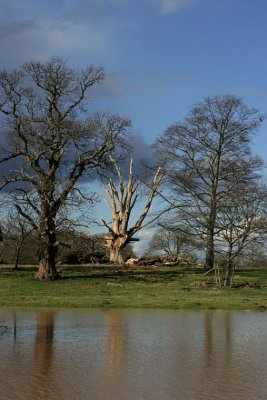 Charlecote 07 (0009).jpg