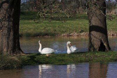 Charlecote 07 (0010).jpg