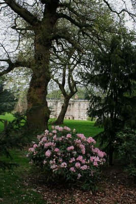 Calke Abbey 0001.jpg