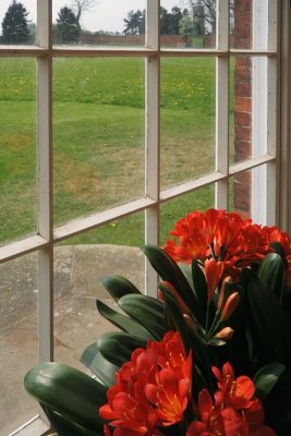 Calke Abbey 0006.jpg