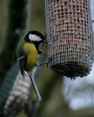Draycote-Winter 06-07 0007.jpg